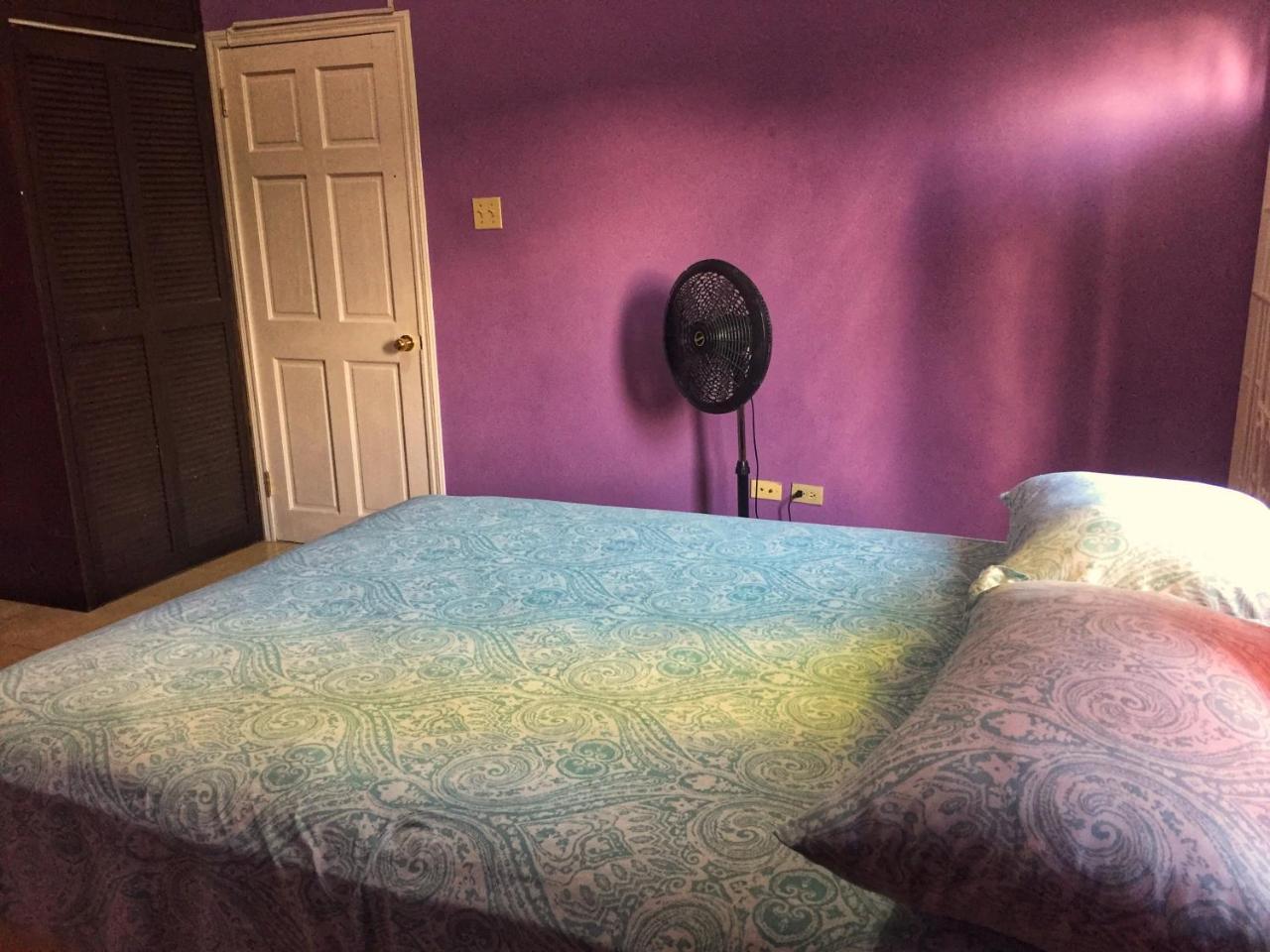 Yaad Hostel 몬테고 베이 객실 사진